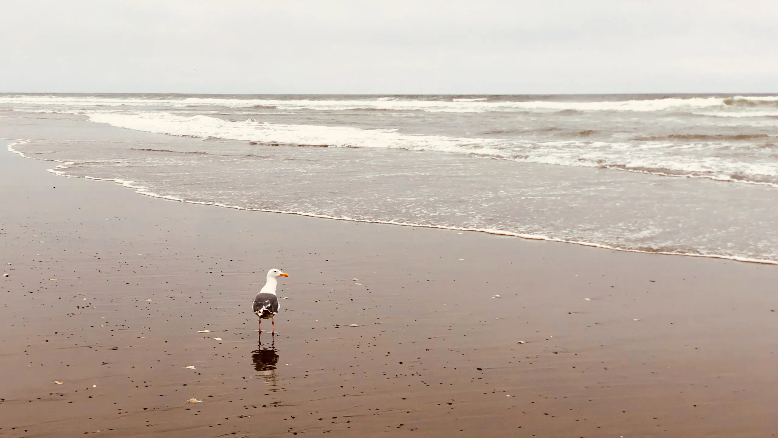 Navigating life changes and transitions